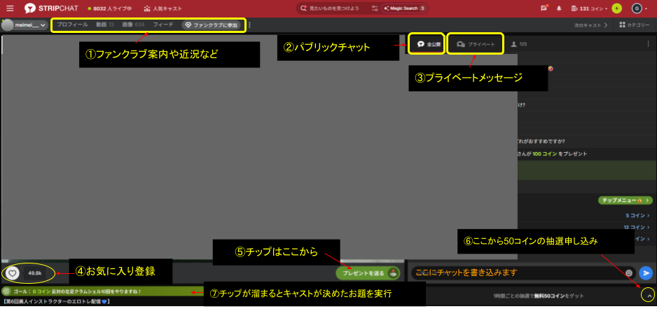 Stripチャット紹介記事用チャットルームスクリーンショット