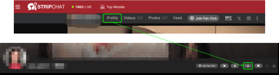 Process of sending a friend request in Stripchat.
