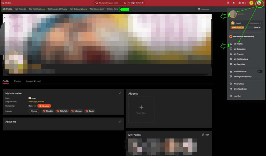 Opening the profile menu from the account icon in Stripchat top screen.